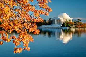 Autumn Afternoon At The Tidal Basin
